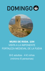 visita-guiada-a-muro-de-roda